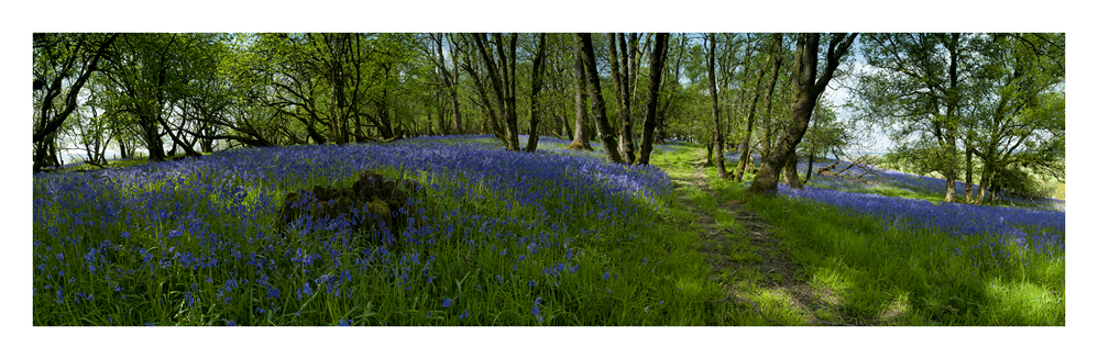images from wales - Ian Nicholson Photography - Builth Wells