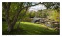 Builth Wells, River Wye, Welsh images for sale