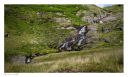 Cwm Gwesyn, Abergwesyn, Drygarn Fawr, Llanwrtyd Wells images